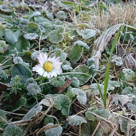 Landgasthof Gaensberg Pensión