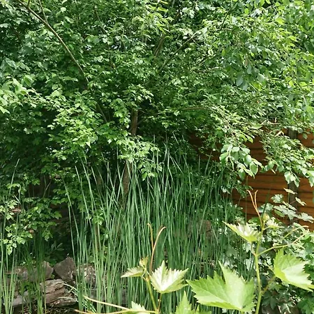 Konukevi Landgasthof Gaensberg 3*