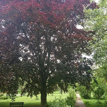 Landgasthof Gaensberg Pensión