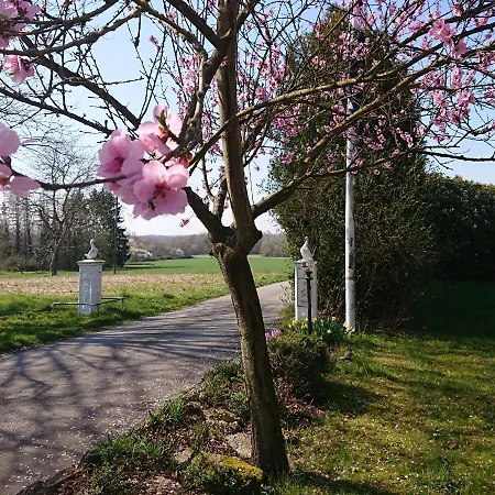 Konukevi Landgasthof Gaensberg 3*