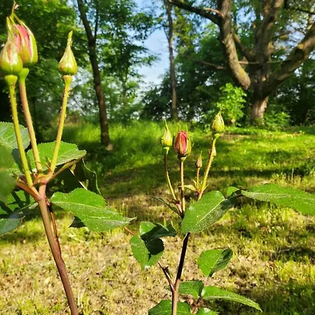 Pensión Landgasthof Gaensberg
