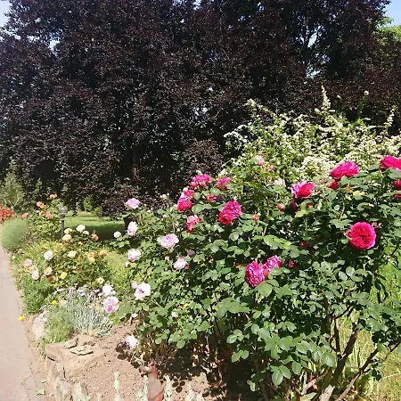 Landgasthof Gaensberg 3* Wiesloch