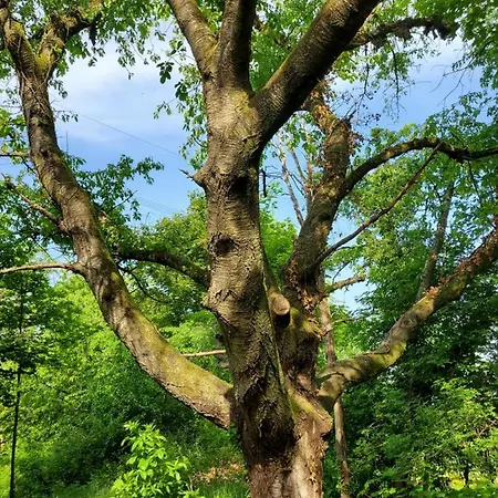 Landgasthof Gaensberg
