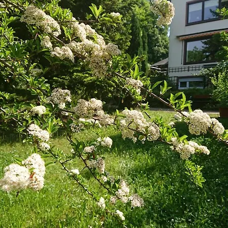 Konukevi Landgasthof Gaensberg