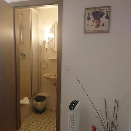 Pensión Landgasthof Gaensberg Wiesloch