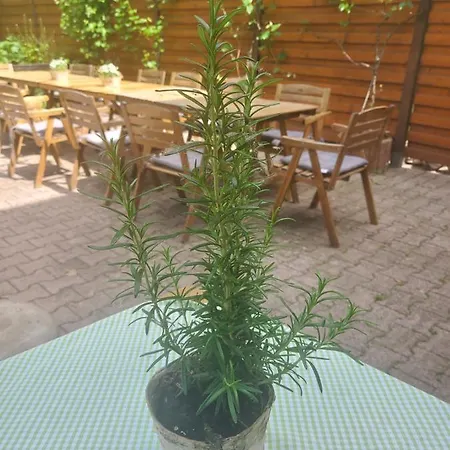 Landgasthof Gaensberg Pensión Wiesloch