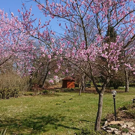 Landgasthof Gaensberg Konukevi 3*