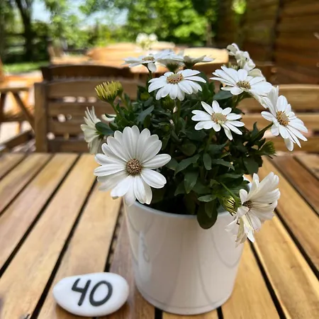 Landgasthof Gaensberg