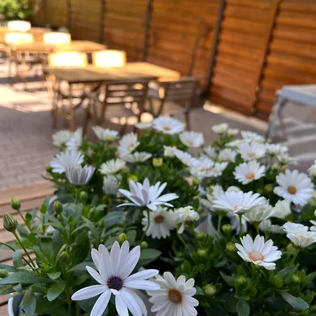 Landgasthof Gaensberg Pensión 3*